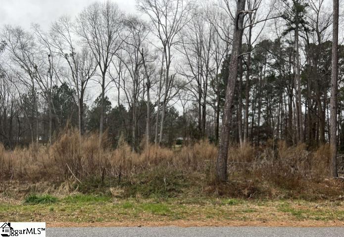 L35 Kingsboro Road Anderson, SC 29626 - Photo 1 of 5 Gallery Image 1