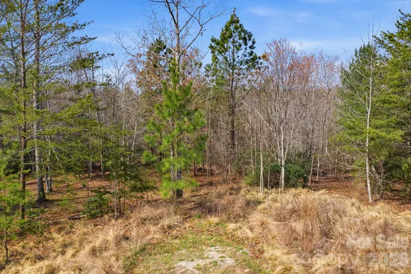 a view of backyard with green space