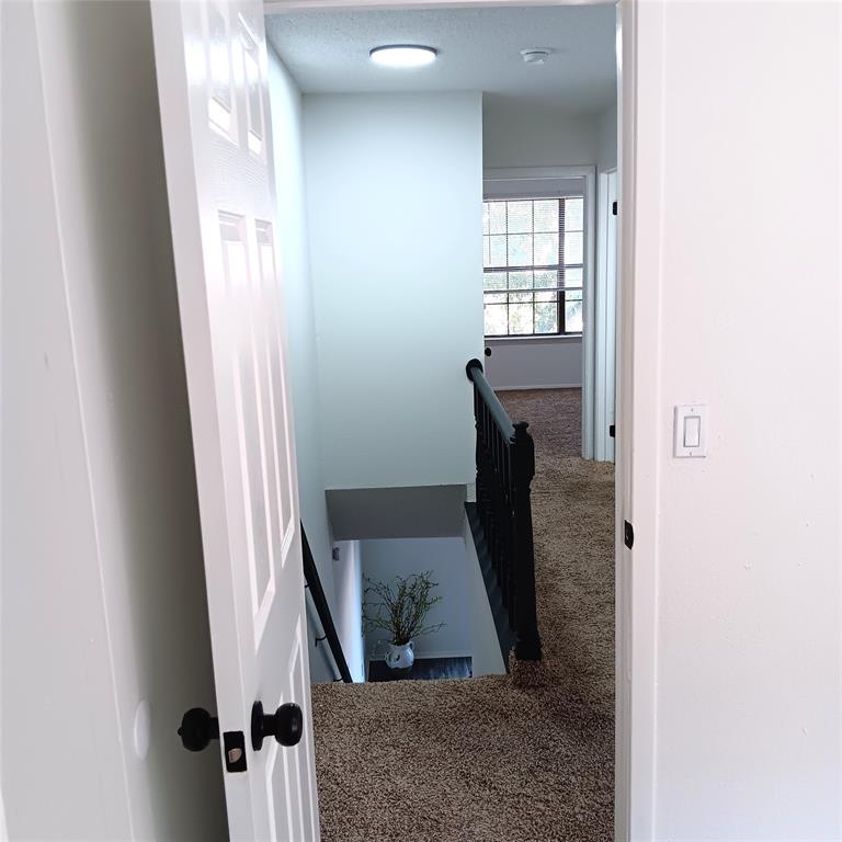 708 West Collins Street Denton, TX 76201 - Photo 23 of 40 Stairs with carpet