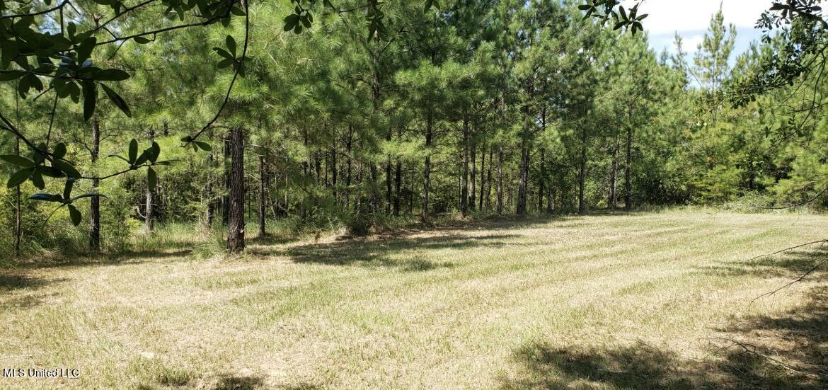 1030 Man Moulds Road Lucedale, MS 39452 - Photo 15 of 18 IMG_2444