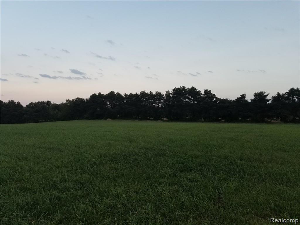 Parcel N Weller Gregory, MI 48137 - Photo 18 of 26