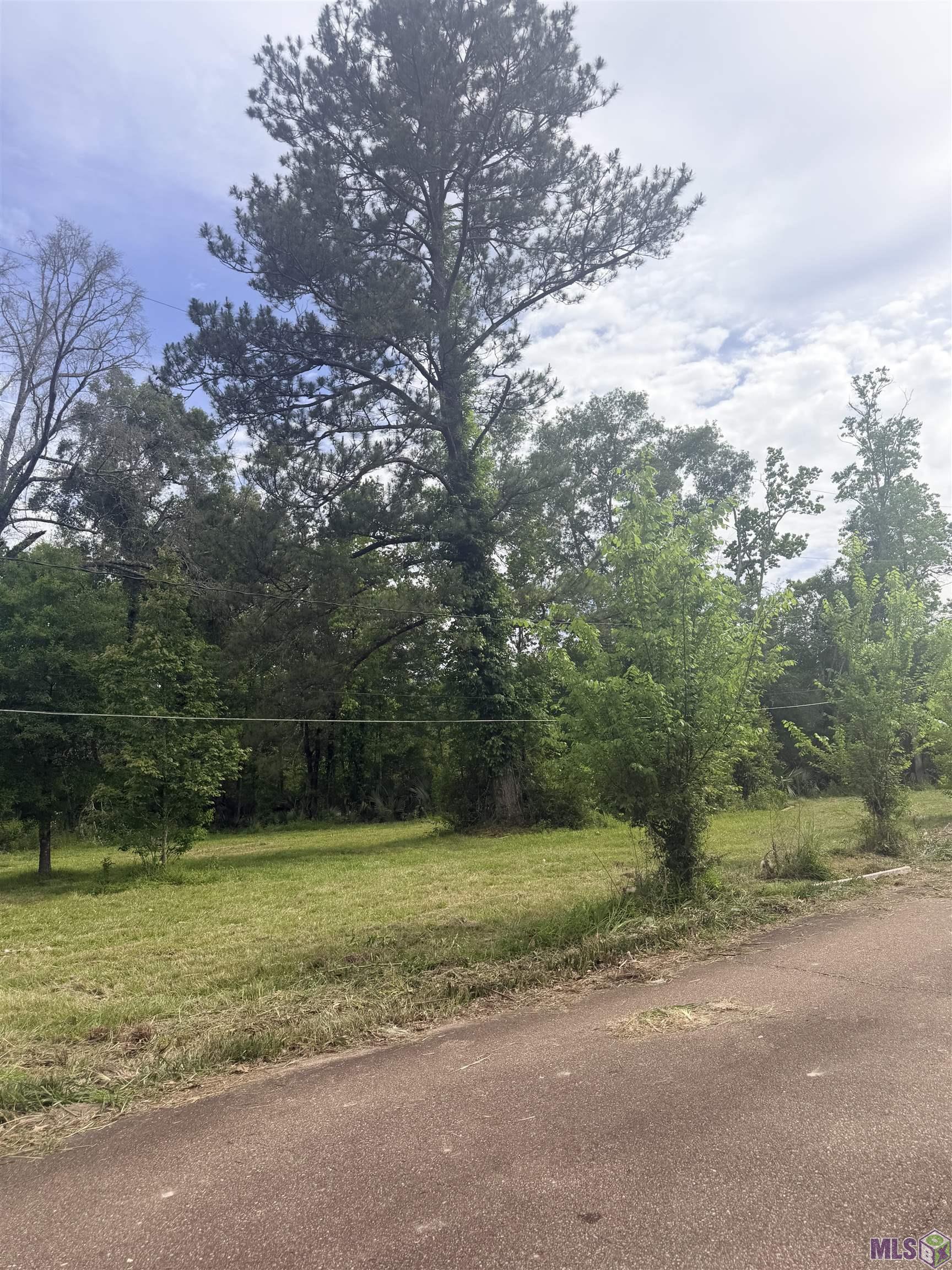 14312 Howard Thomas Road Walker, LA 70785 - Photo 12 of 18