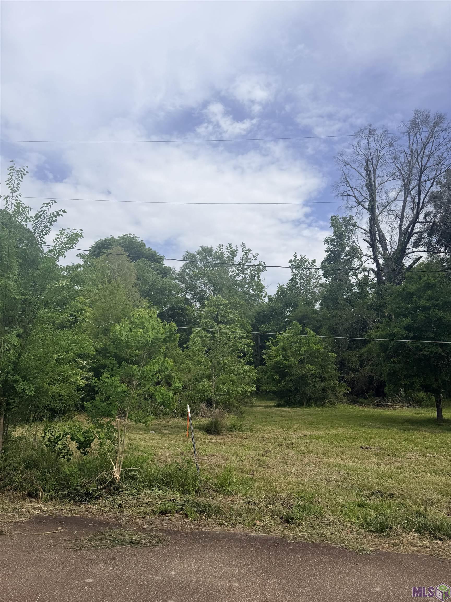 14312 Howard Thomas Road Walker, LA 70785 - Photo 13 of 18