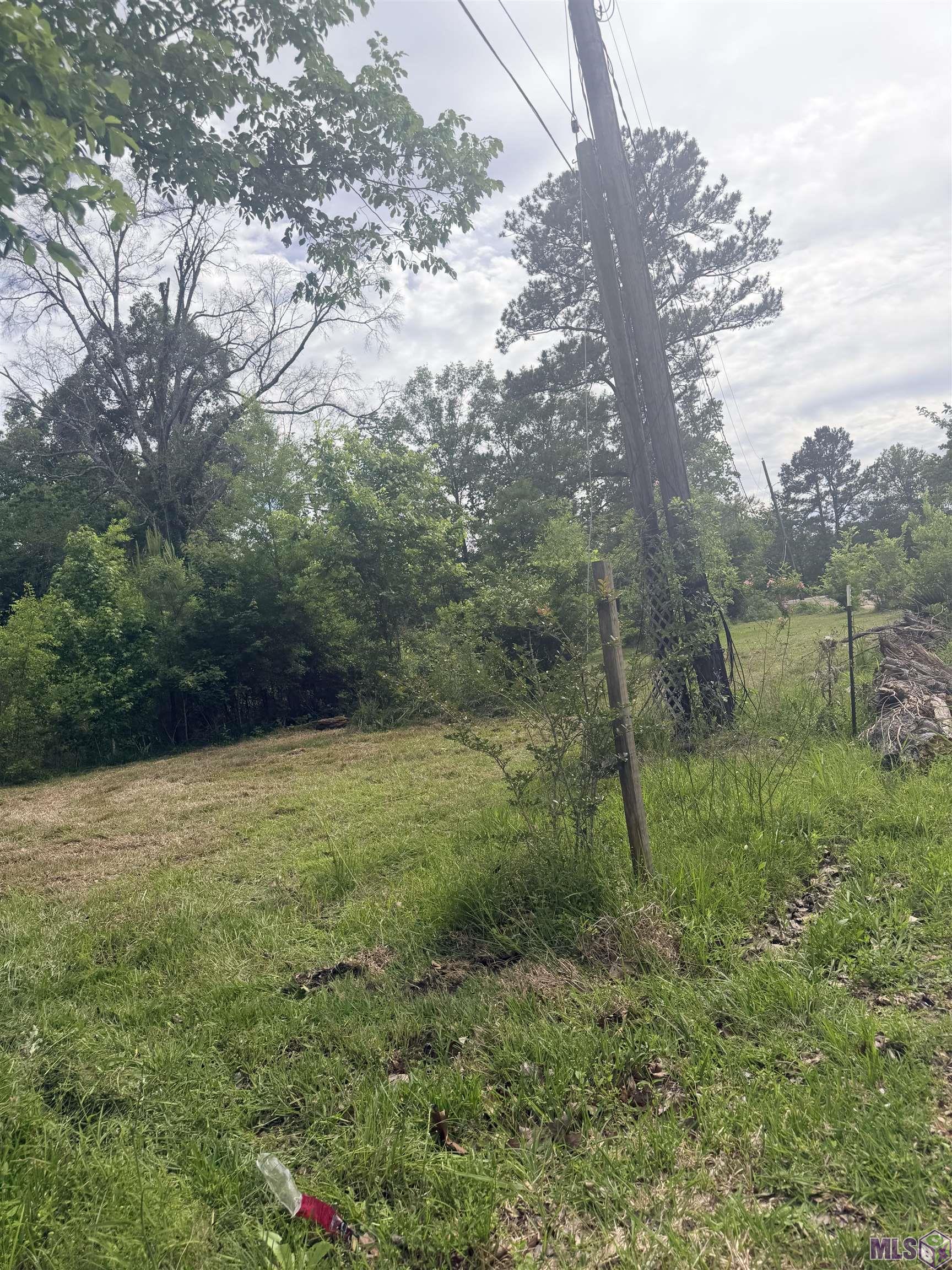 14312 Howard Thomas Road Walker, LA 70785 - Photo 16 of 18