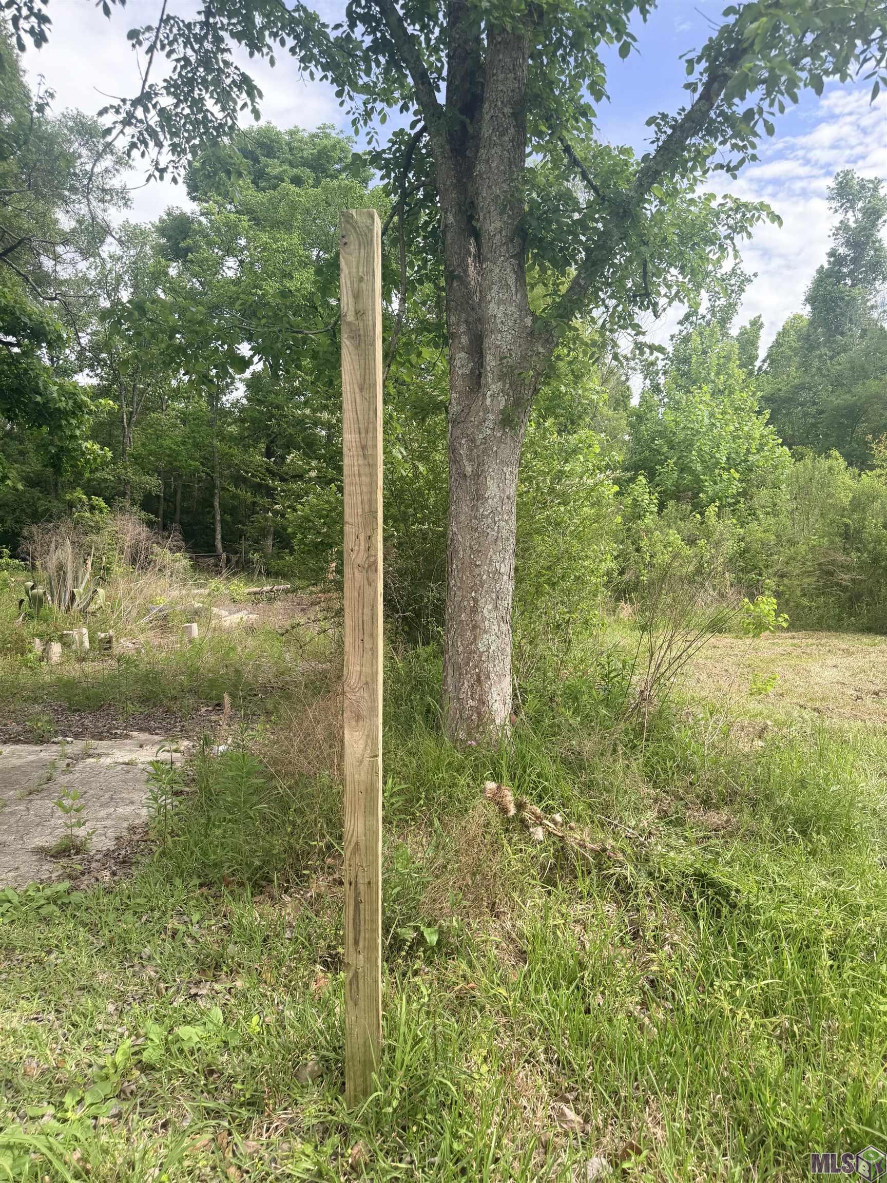 14312 Howard Thomas Road Walker, LA 70785 - Photo 17 of 18