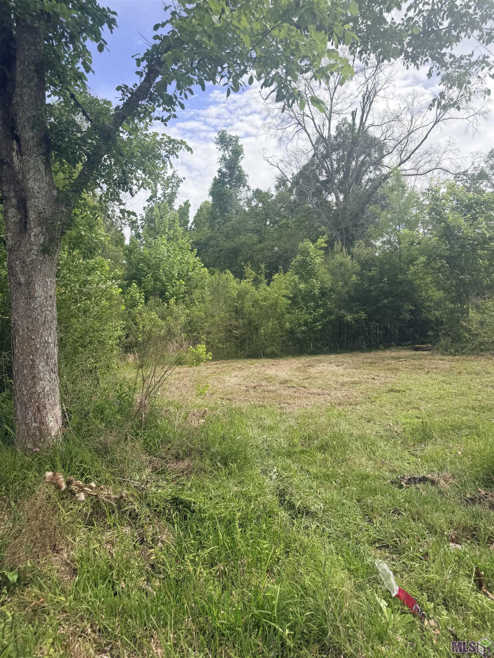 14312 Howard Thomas Road Walker, LA 70785 - Photo 18 of 18