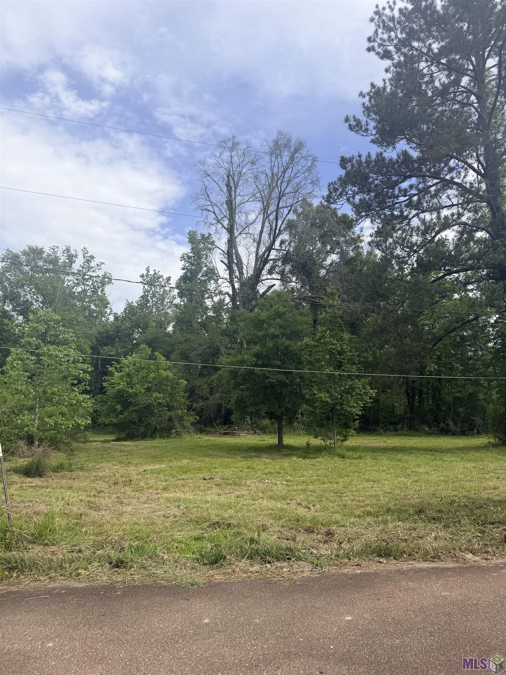 14312 Howard Thomas Road Walker, LA 70785 - Photo 2 of 18