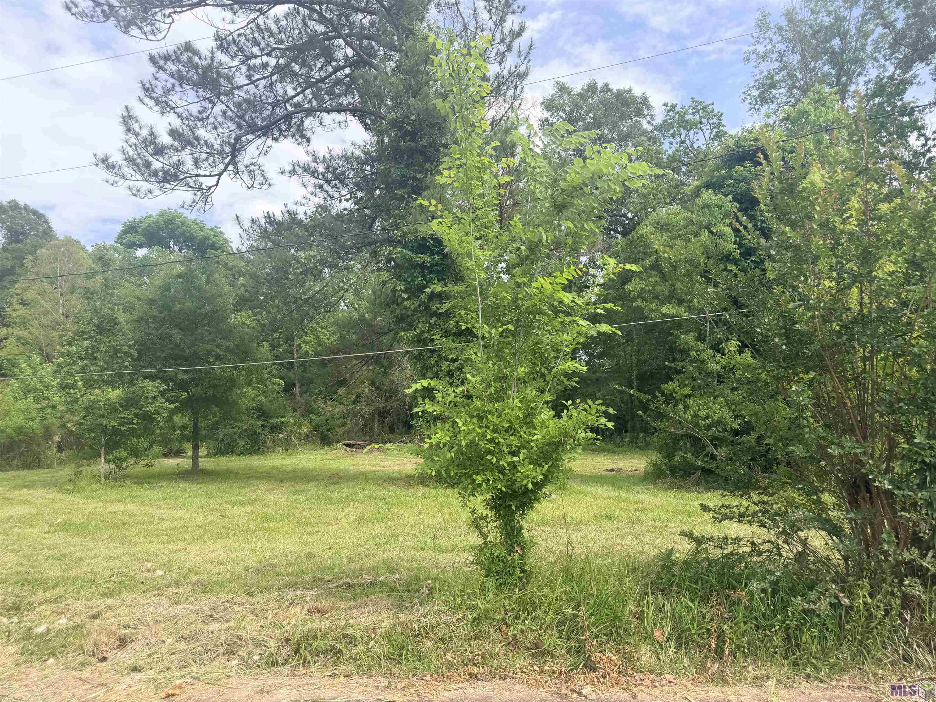 14312 Howard Thomas Road Walker, LA 70785 - Photo 3 of 18