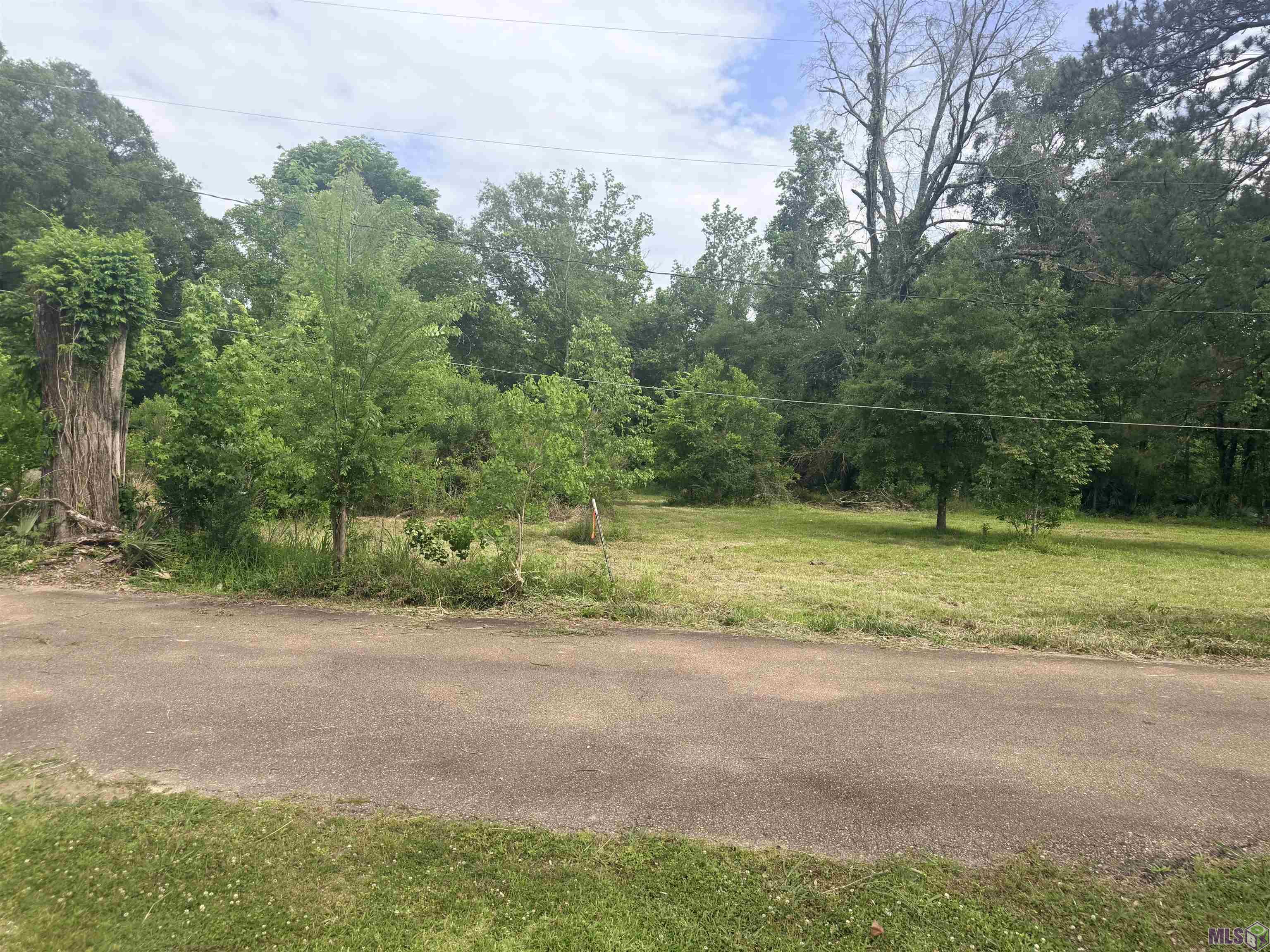 14312 Howard Thomas Road Walker, LA 70785 - Photo 9 of 18