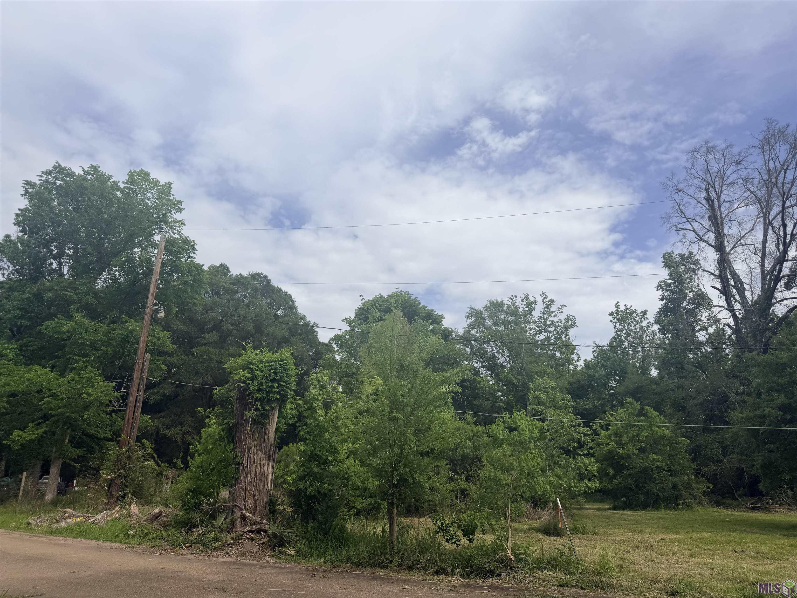 14312 Howard Thomas Road Walker, LA 70785 - Photo 10 of 18