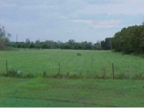 6600 Cg Ranch Mims, FL 32754 - Photo 5 of 7 Additional Photo