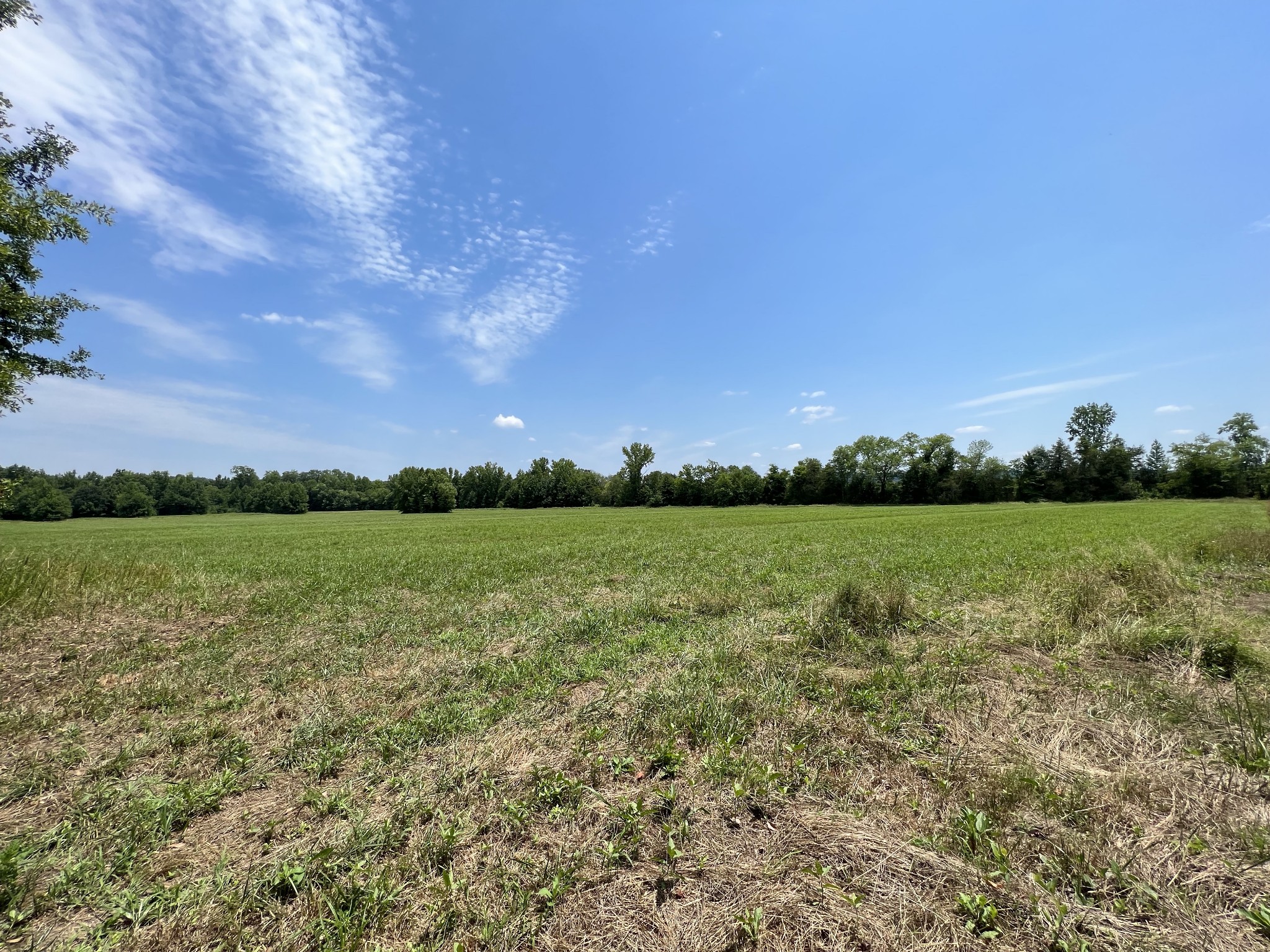 631 Briar Pond Road Centerville, TN 37033 - Photo 2 of 23 Gallery Image 2