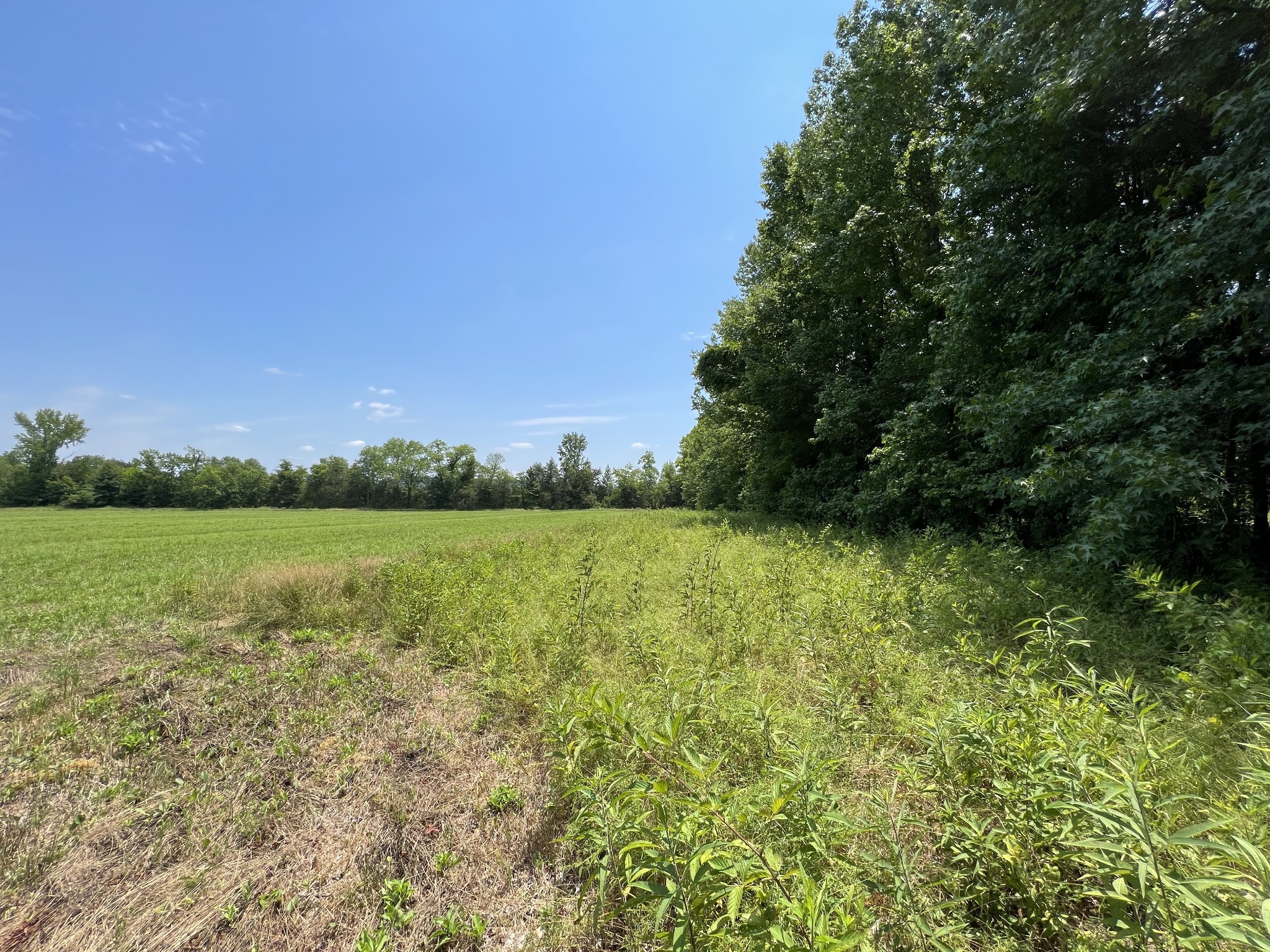 631 Briar Pond Road Centerville, TN 37033 - Photo 3 of 23 Gallery Image 3