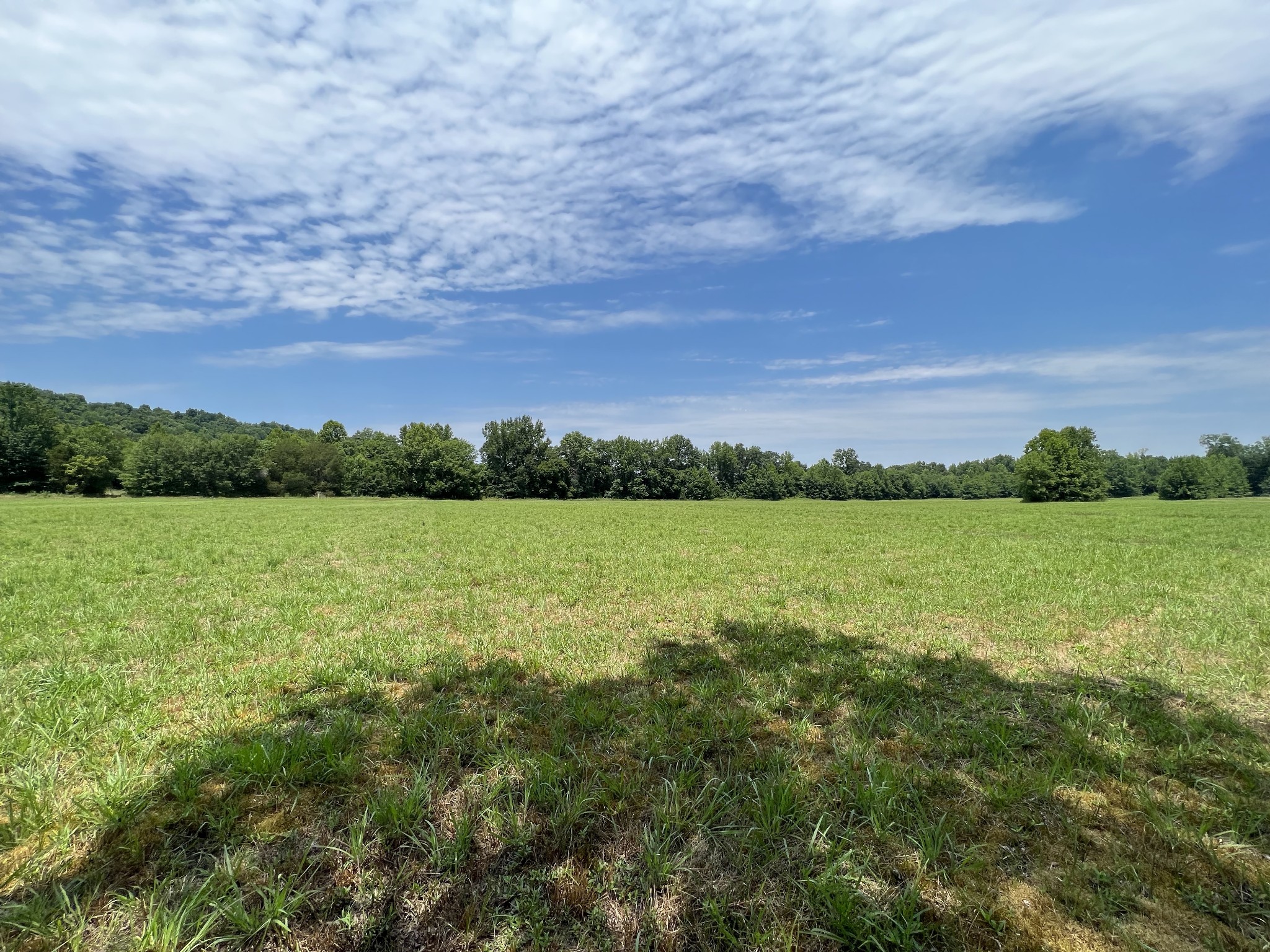 631 Briar Pond Road Centerville, TN 37033 - Photo 5 of 23 Gallery Image 5