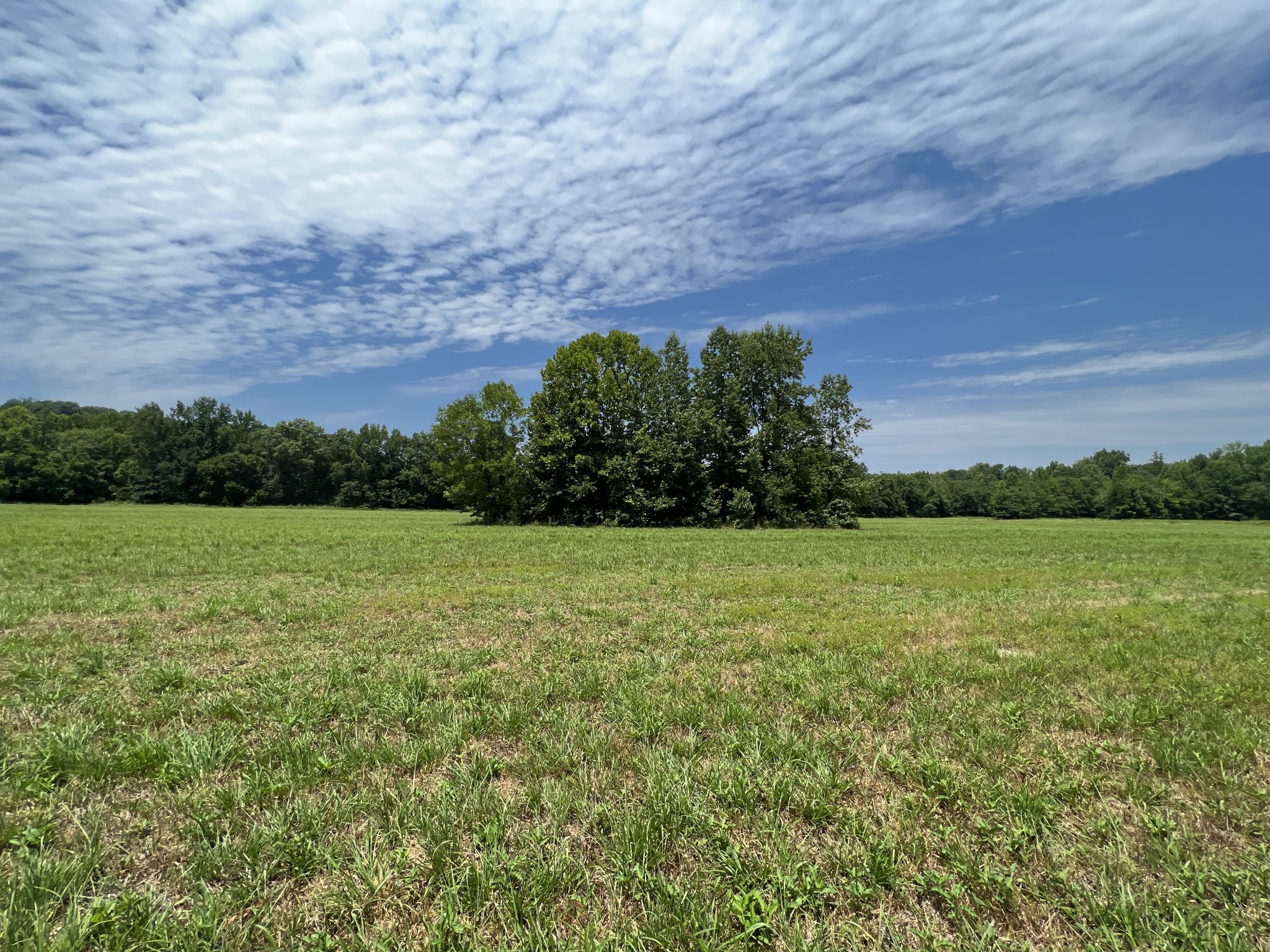 631 Briar Pond Road Centerville, TN 37033 - Photo 8 of 23 Gallery Image 8