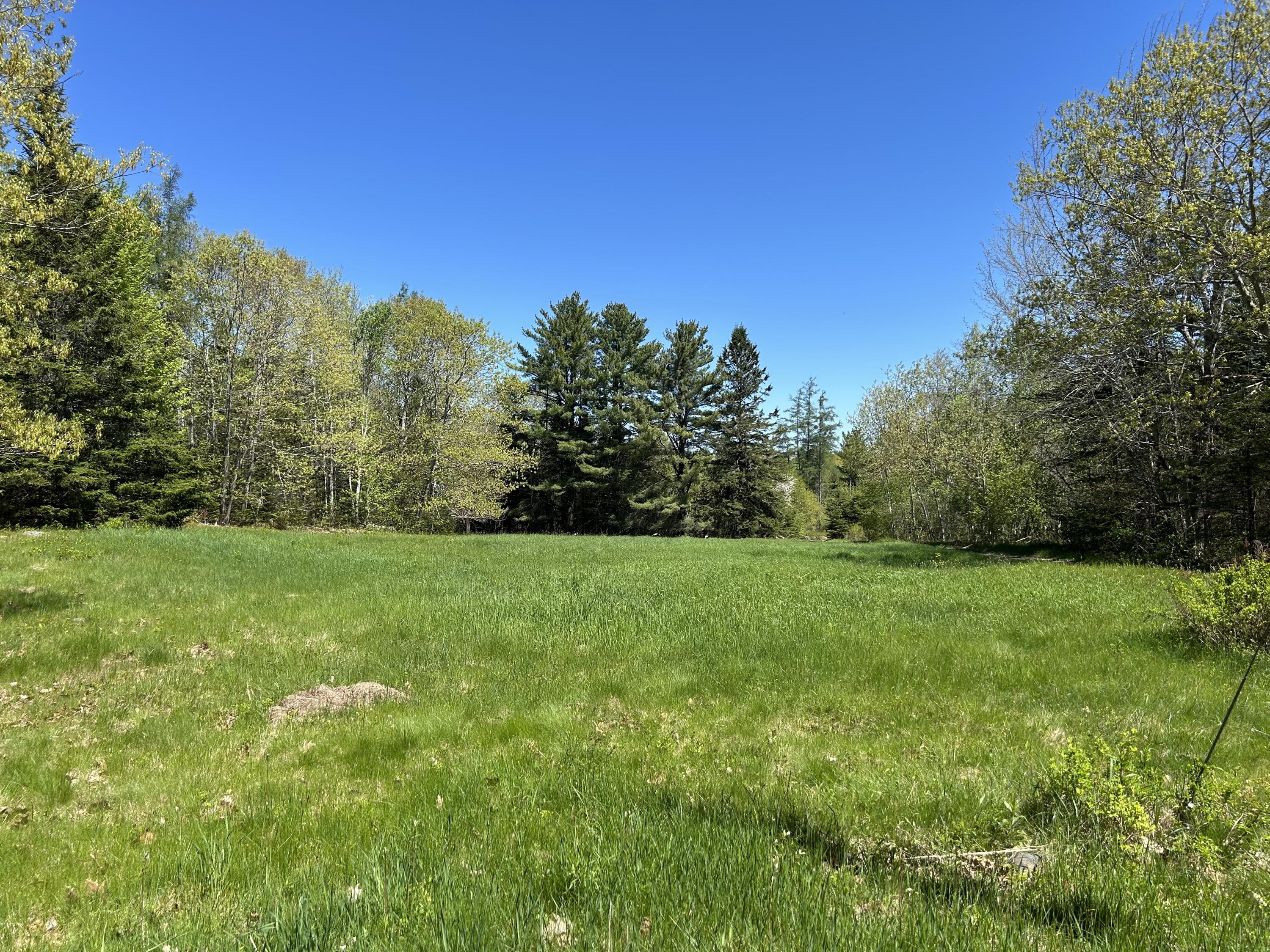 3 Cemetery Road Gouldsboro, ME 04607 - Photo 2 of 21 Roadside looking up toward house site