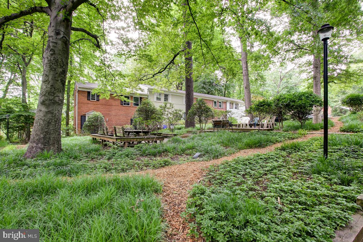 8621 Geren Road, Unit 297 Silver Spring, MD 20901 - Photo 28 of 30 Community Common Area Tiered Patio