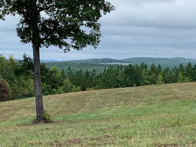Skyline Road, Unit 7 Appomattox, VA 24522 - Photo 4 of 11 Gallery Image 4
