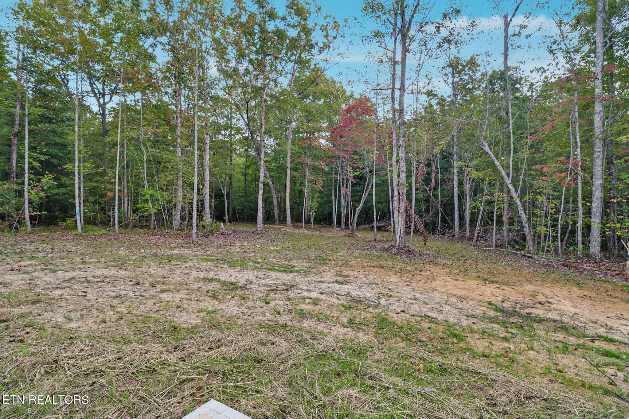 432 Pilot Mountain Road Sunbright, TN 37872 - Photo 25 of 25 Gallery Image 25