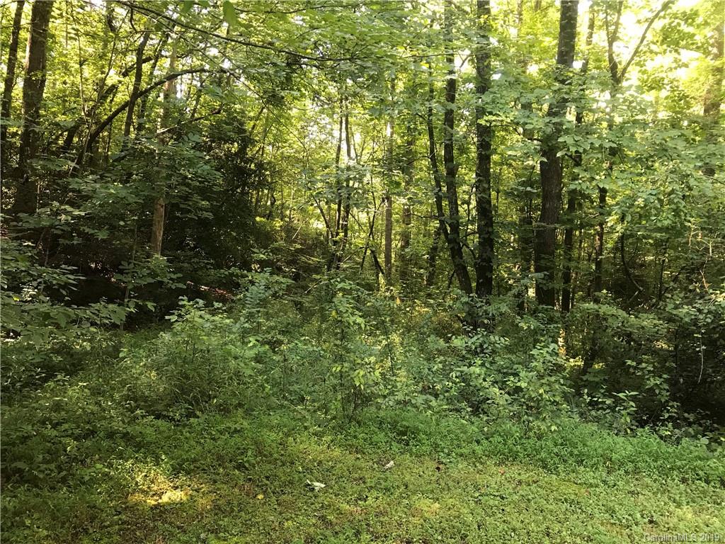 Tbd Campground Road Old Fort, NC 28762 - Photo 4 of 4 Gallery Image 4