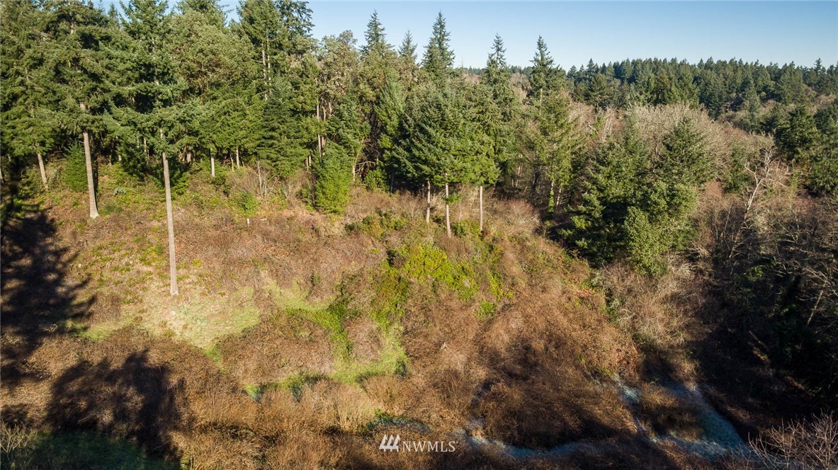 244-xx Old Mill Road Southwest Vashon, WA 98070 - Photo 1 of 9