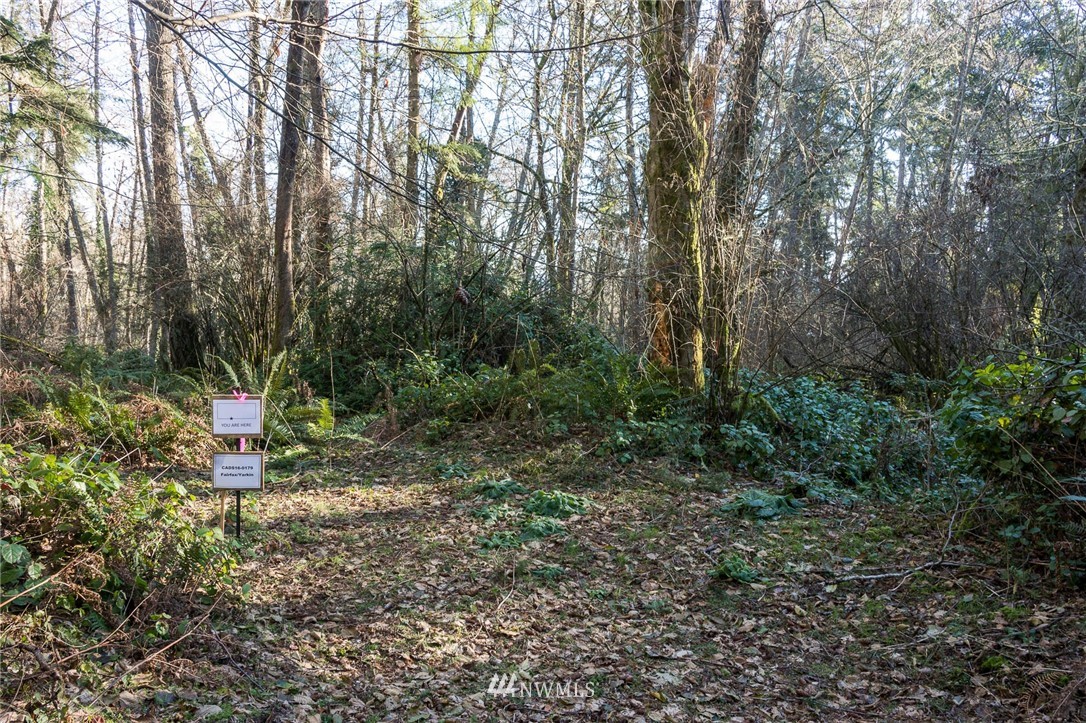 244-xx Old Mill Road Southwest Vashon, WA 98070 - Photo 2 of 9
