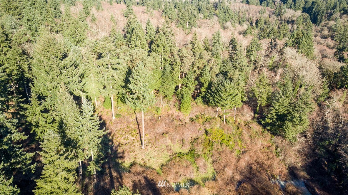 244-xx Old Mill Road Southwest Vashon, WA 98070 - Photo 5 of 9