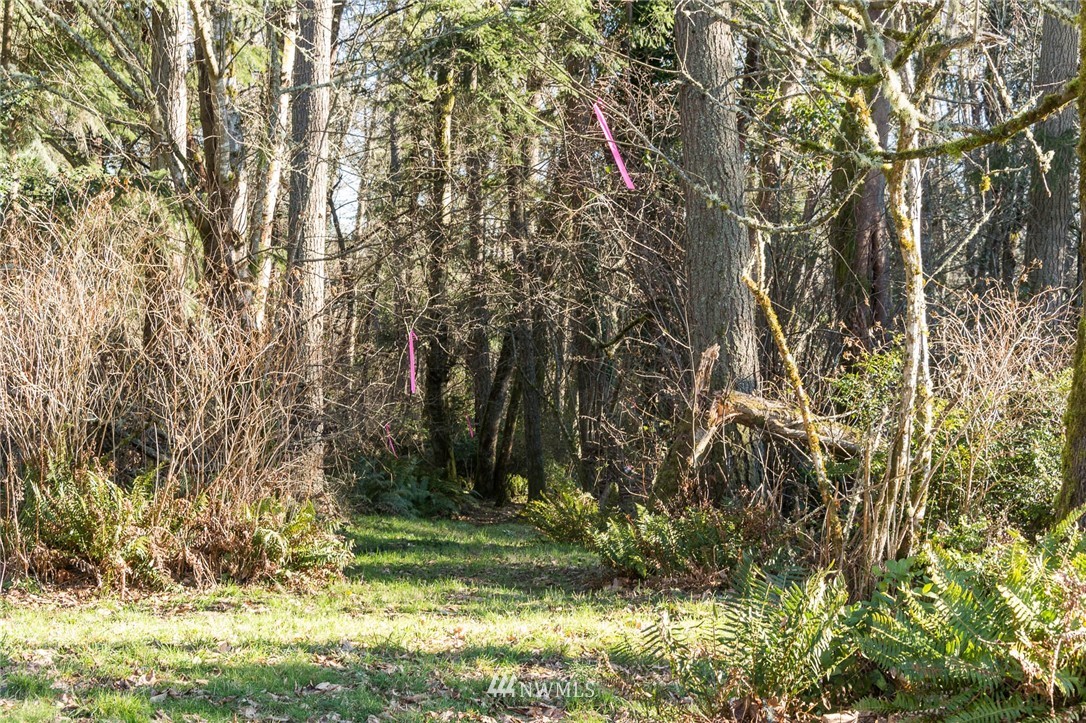 244-xx Old Mill Road Southwest Vashon, WA 98070 - Photo 6 of 9