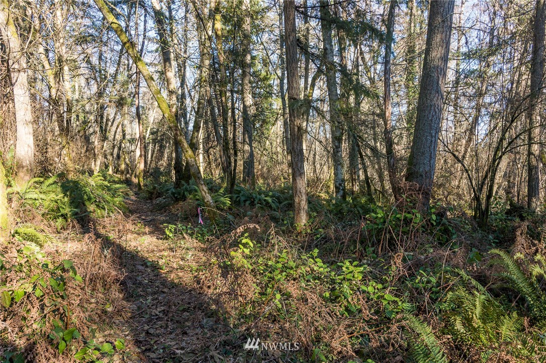 244-xx Old Mill Road Southwest Vashon, WA 98070 - Photo 8 of 9
