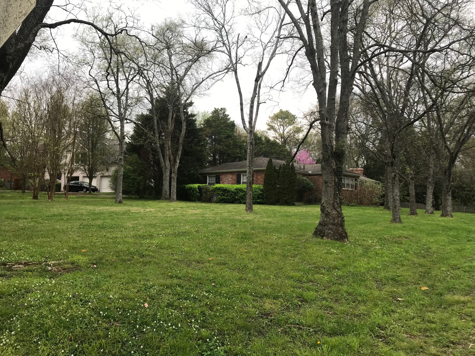 4129 Sneed Road Nashville, TN 37215 - Photo 3 of 5 a view of a trees in a park