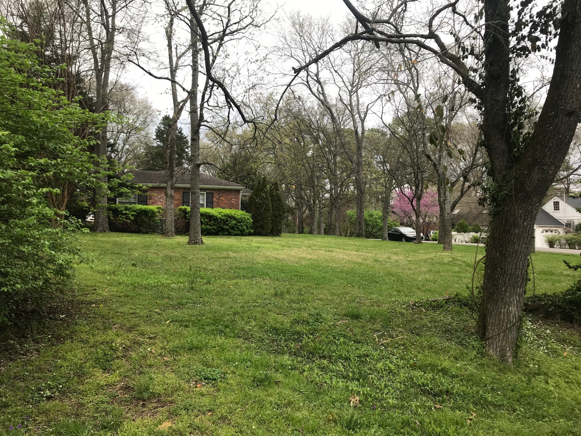 4129 Sneed Road Nashville, TN 37215 - Photo 4 of 5 a view of a house with a yard