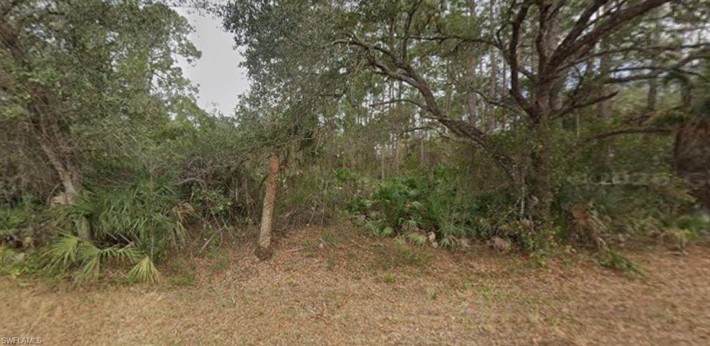 2004 Wells Avenue Alva, FL 33920 - Photo 3 of 4 a view of a forest with trees in the background