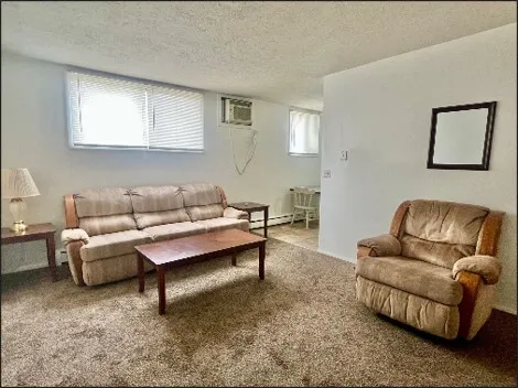 a living room with furniture and a couch