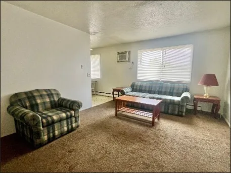 a bedroom with furniture and a window
