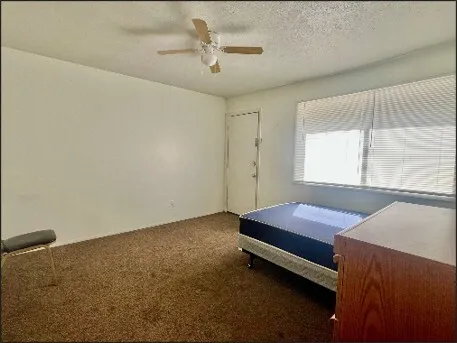 a room with a bed furniture and a window