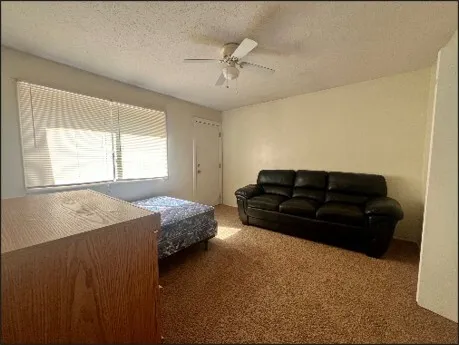 a bedroom with a bed window and couch