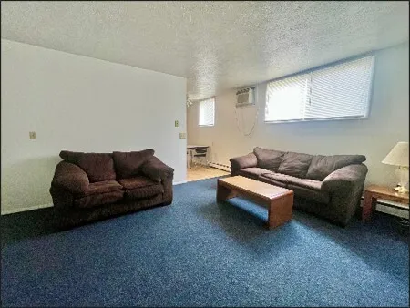 a living room with furniture and a couch