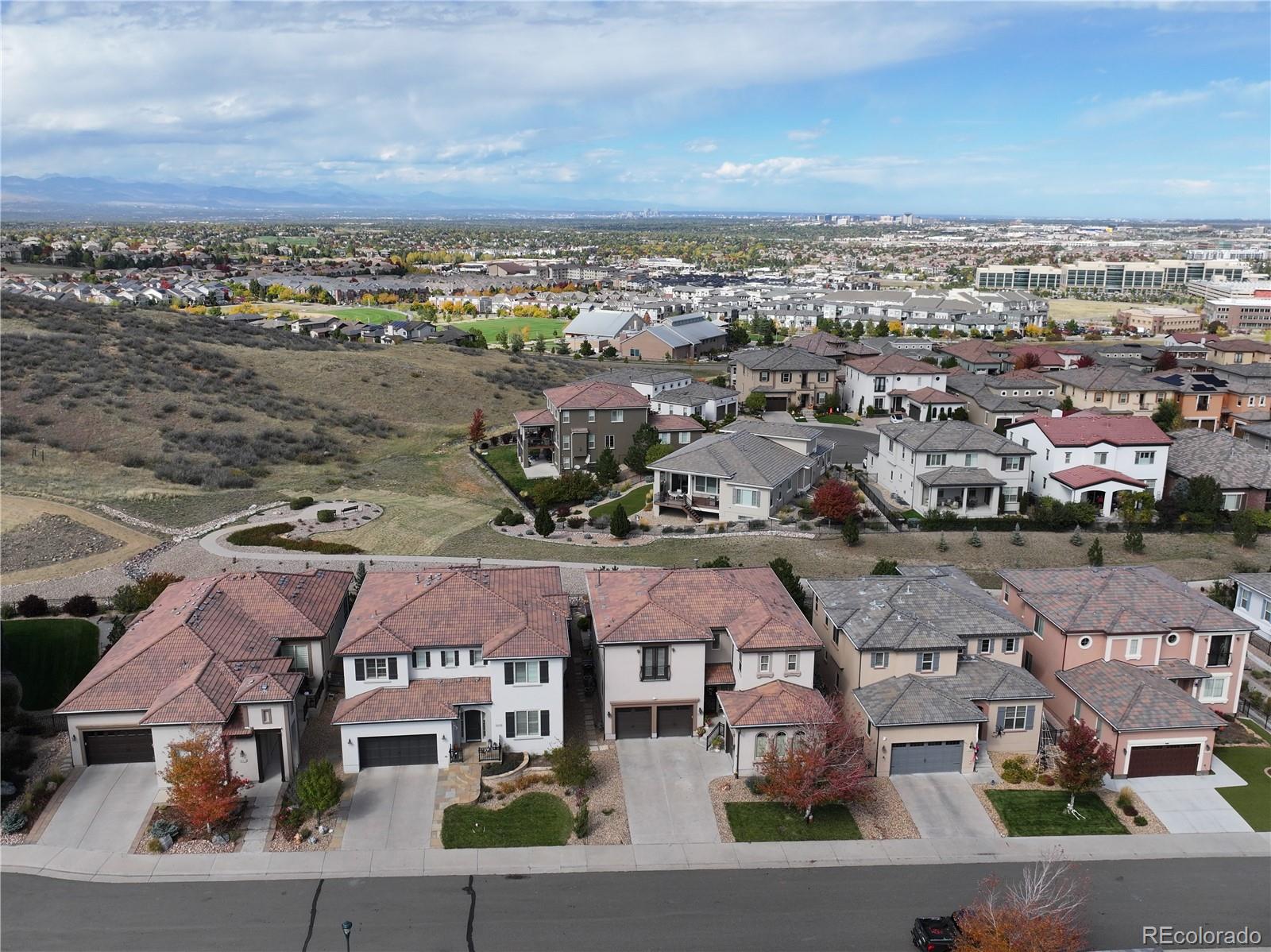 10629 Ladera Point Lone Tree, CO 80124 - Photo 47 of 49