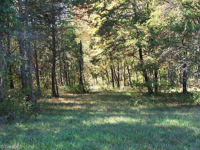 4 Nichoals Road Pilot Mountain, NC 27041 - Photo 5 of 10 Other.
