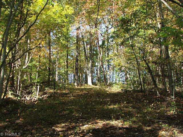 4 Nichoals Road Pilot Mountain, NC 27041 - Photo 6 of 10 Other.