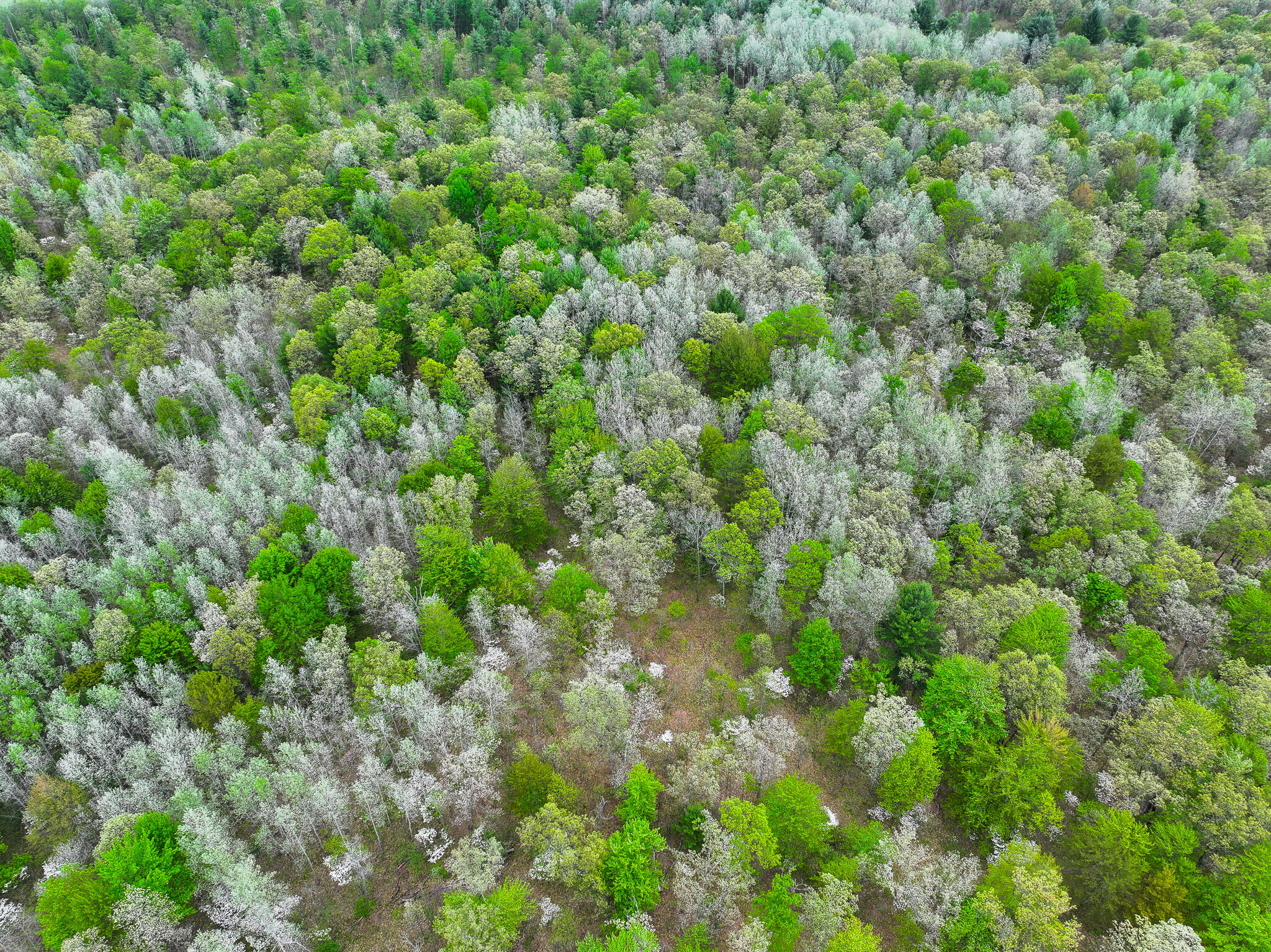 12.19 Rapp Drive Twin Lake, MI 49457 - Photo 12 of 48 DJI_20260512131910_0537_D