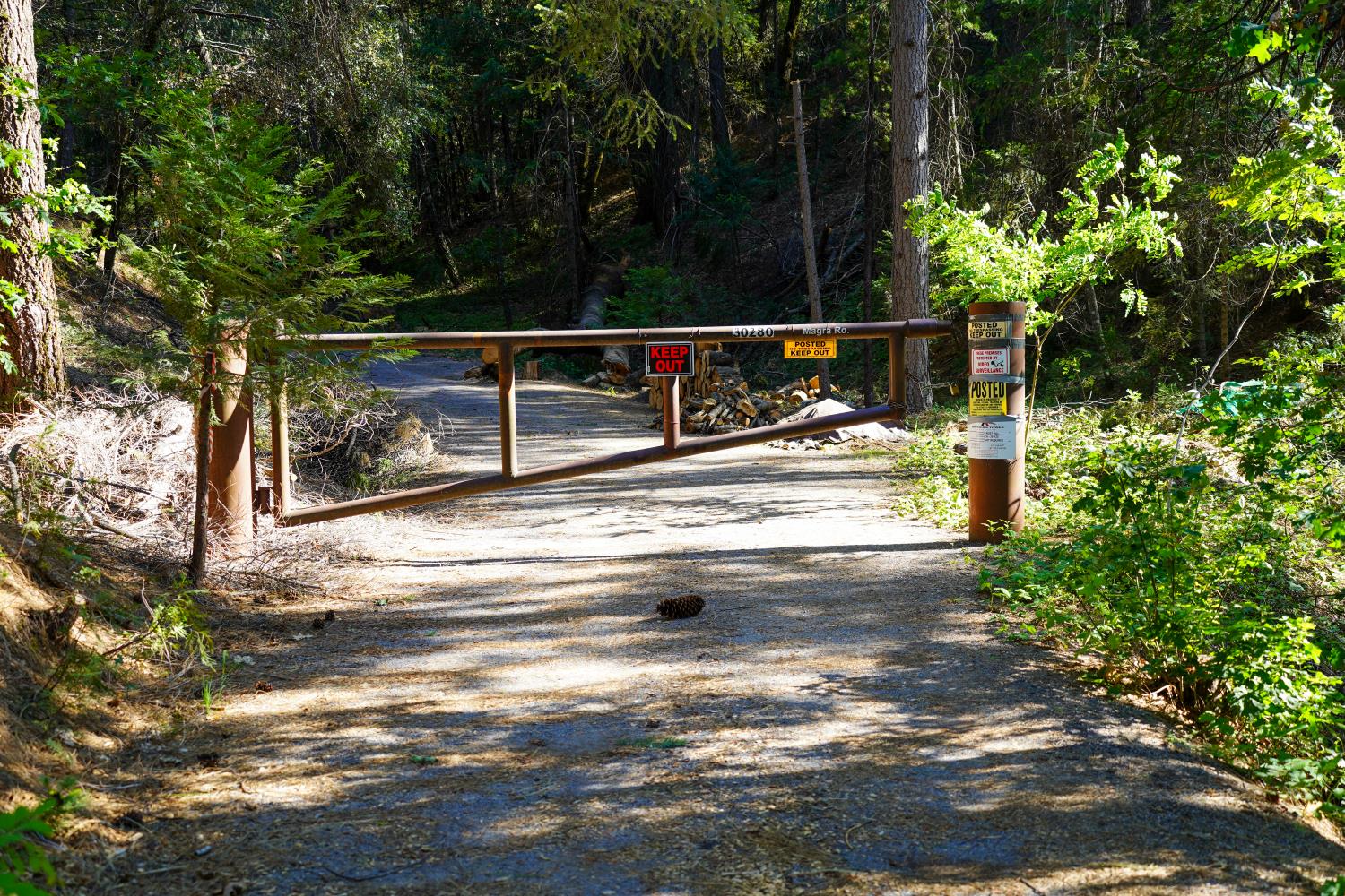 30220 Magra Road Gold Run, CA 95717 - Photo 45 of 51