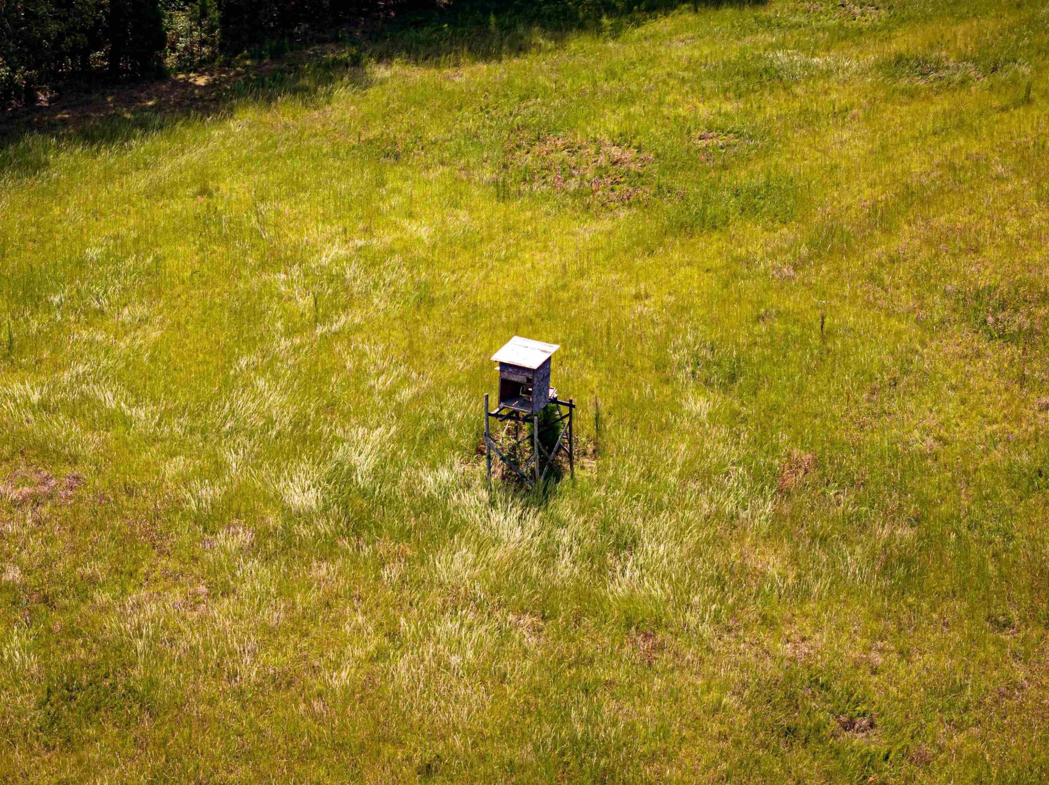 2642 Brodies Landing Road Parsons, TN 38363 - Photo 11 of 45 a bathroom with a sink and a yard