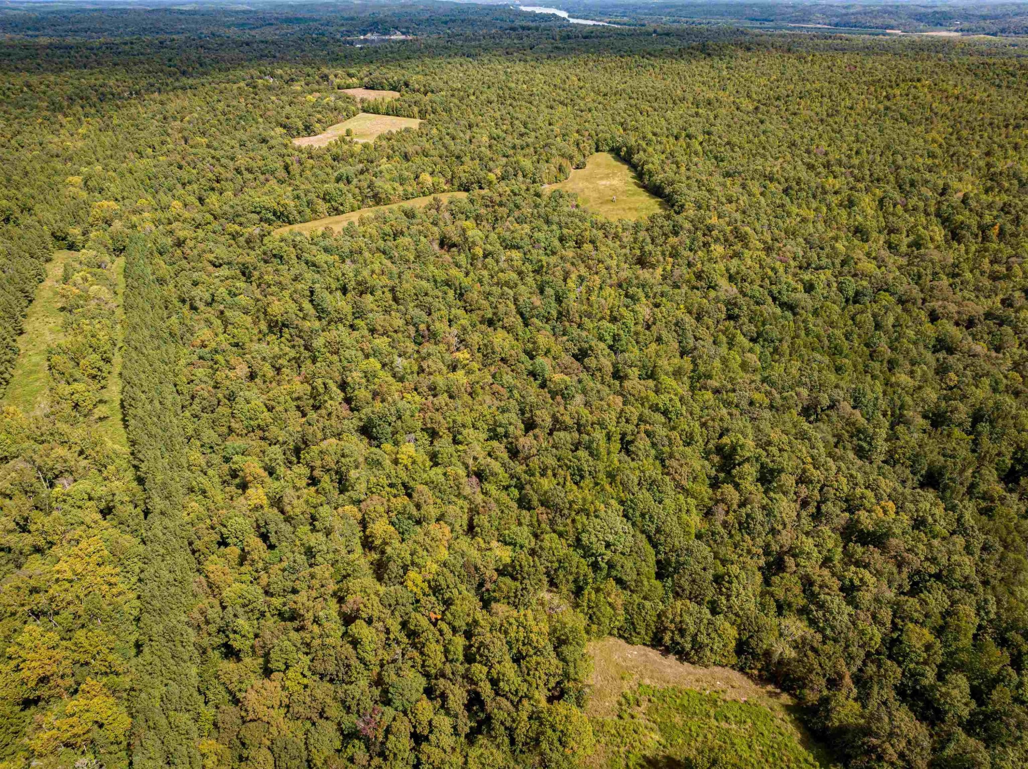 2642 Brodies Landing Road Parsons, TN 38363 - Photo 15 of 45