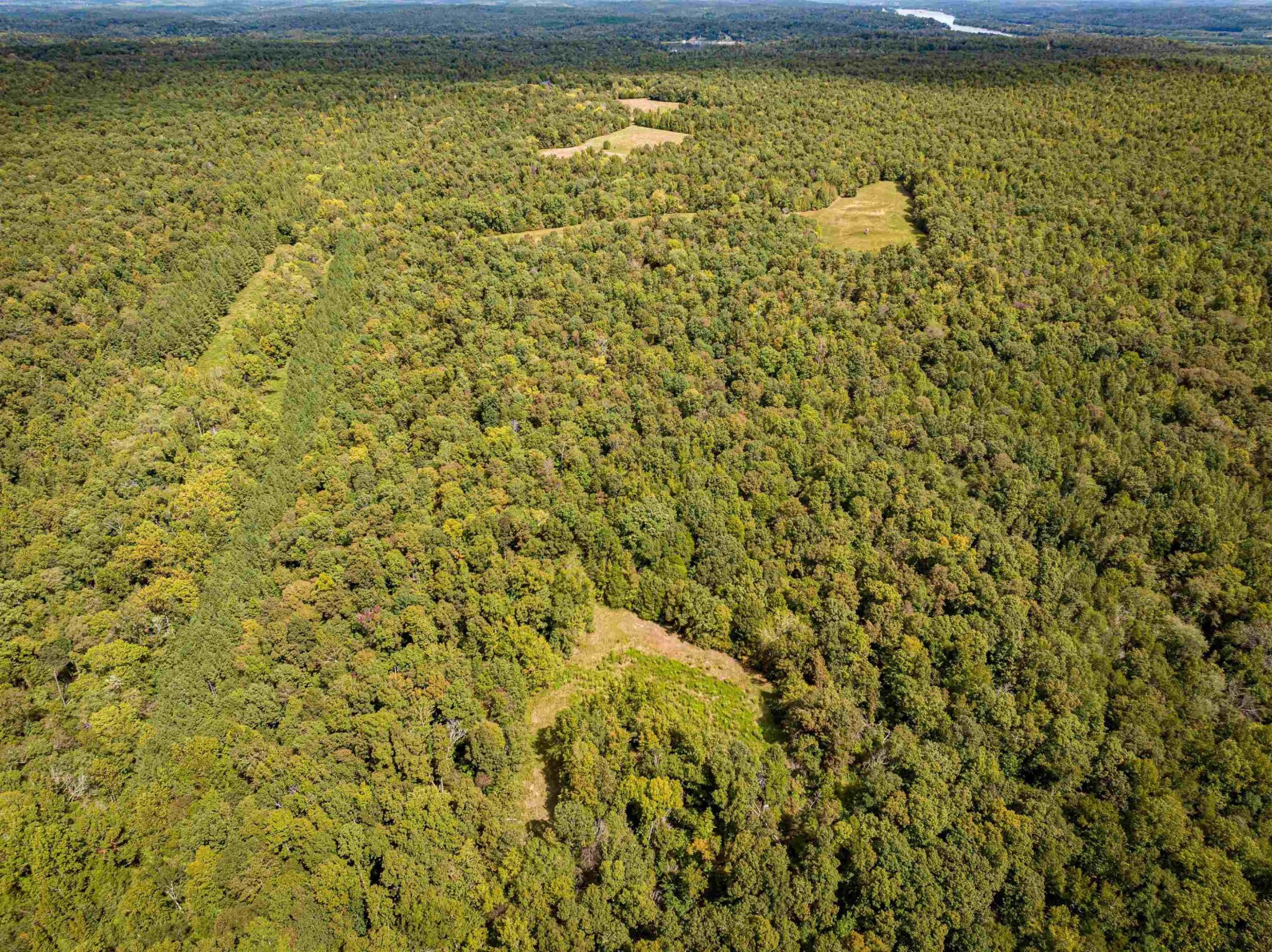 2642 Brodies Landing Road Parsons, TN 38363 - Photo 16 of 45