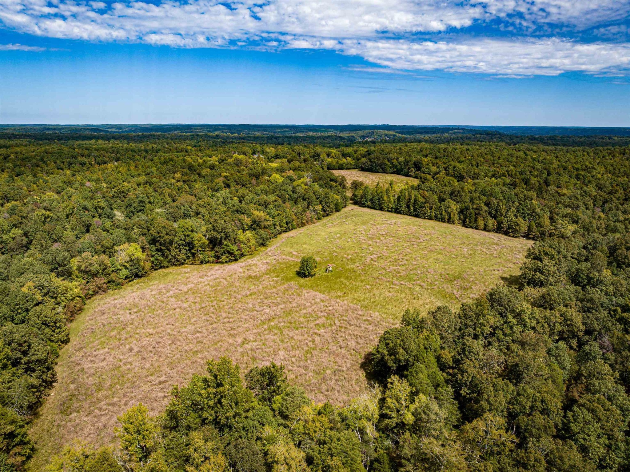 2642 Brodies Landing Road Parsons, TN 38363 - Photo 17 of 45 a view of ocean view