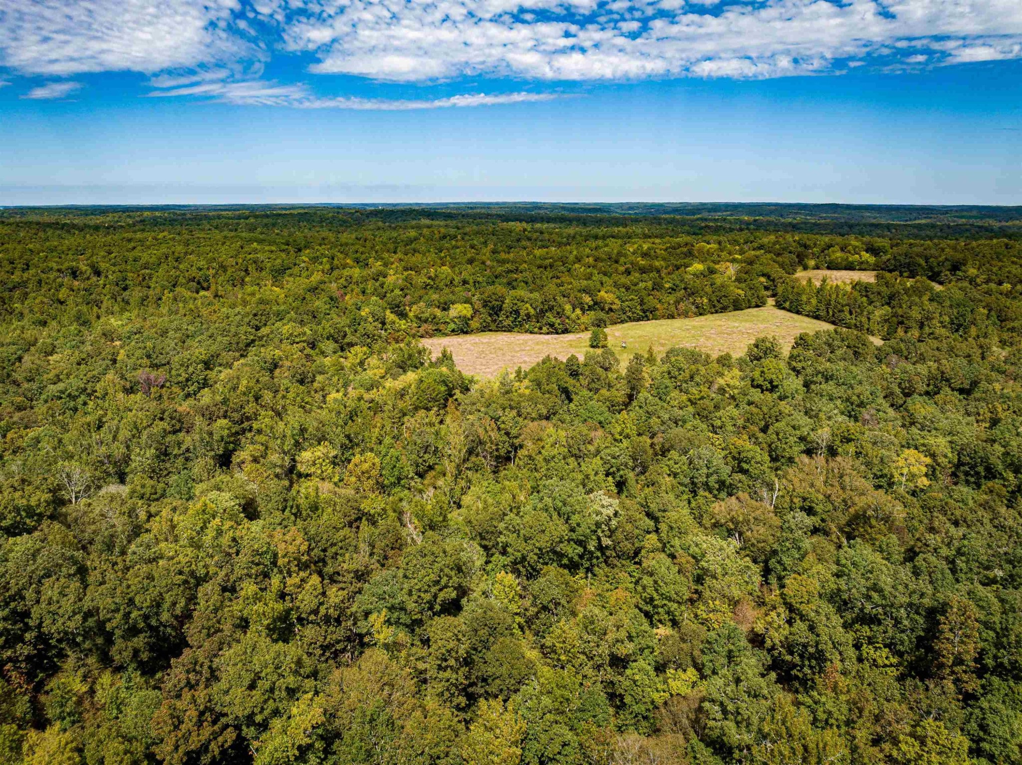 2642 Brodies Landing Road Parsons, TN 38363 - Photo 17 of 45