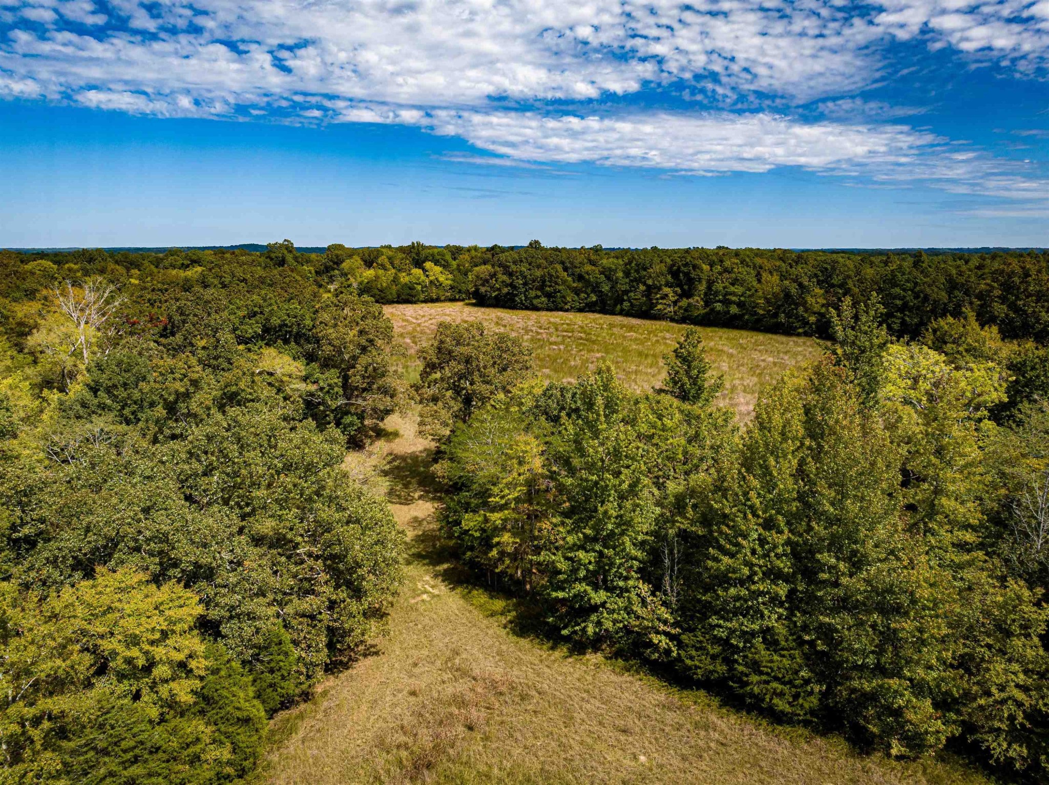 2642 Brodies Landing Road Parsons, TN 38363 - Photo 18 of 45