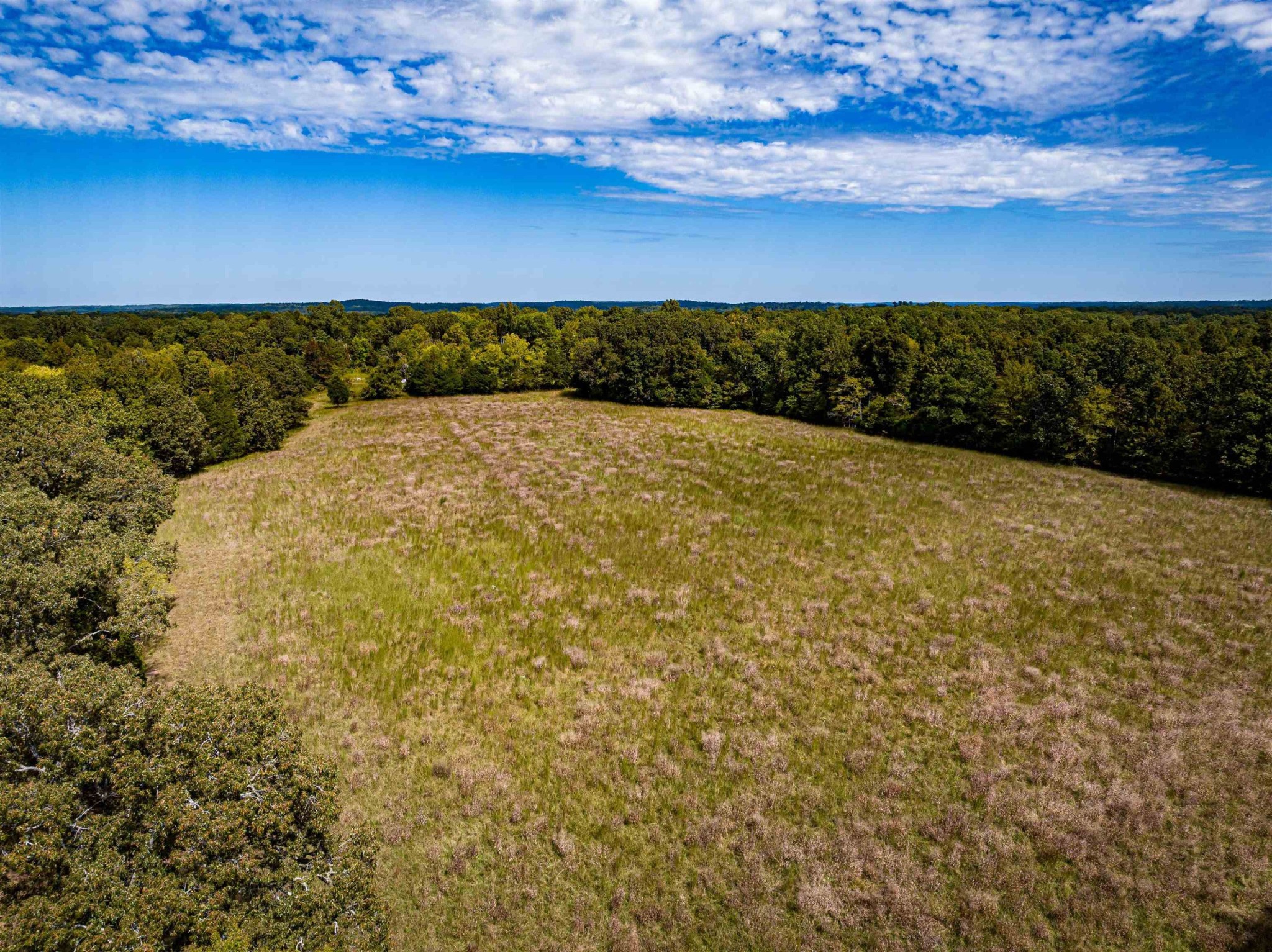2642 Brodies Landing Road Parsons, TN 38363 - Photo 20 of 45