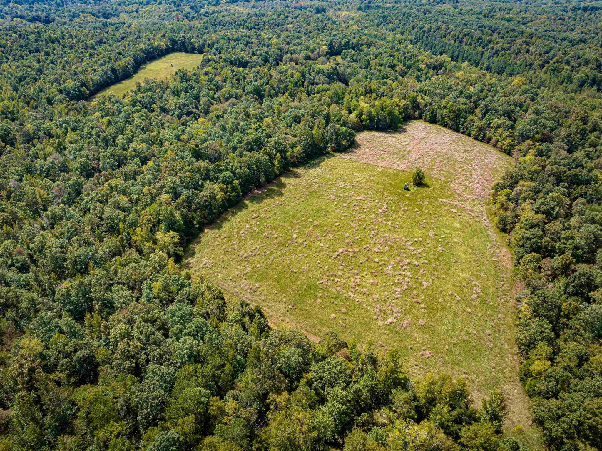 2642 Brodies Landing Road Parsons, TN 38363 - Photo 2 of 45 a view of a yard